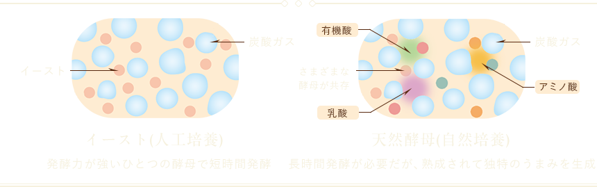 イメージ図