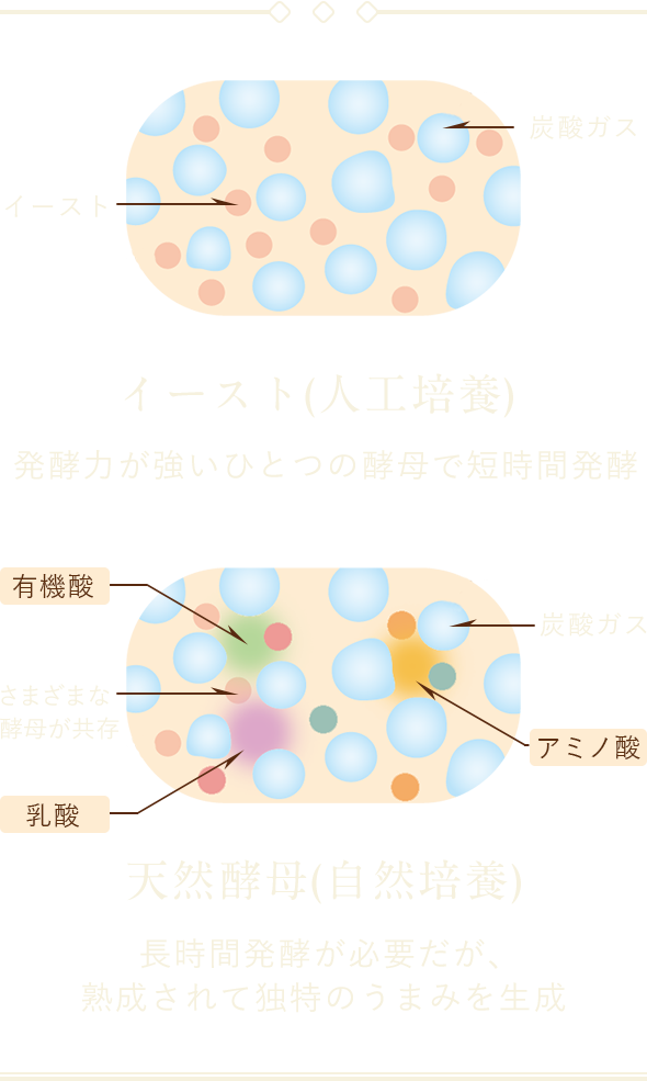 イメージ図